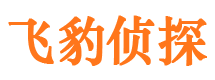 平阳市婚姻出轨调查